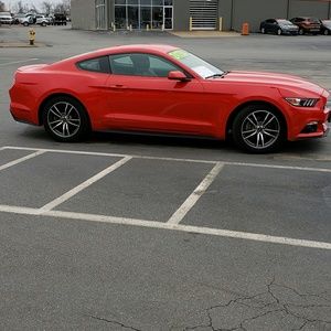 Meet your Posher, Donnie